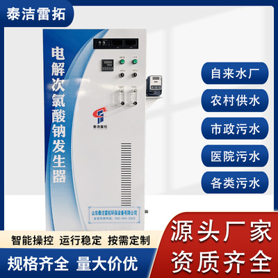 自来水厂医院污水处理消毒农村饮用水电解100g/h次氯酸钠发生器