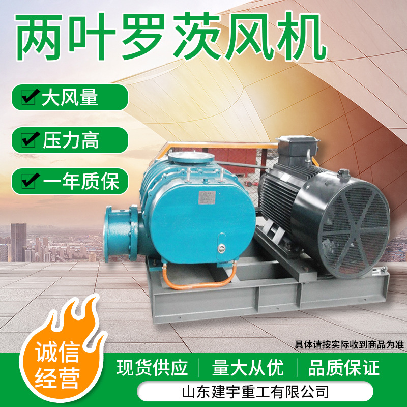 厂家供应两叶鼓风机增氧输气污水处理用两叶罗茨风机铸铁风机