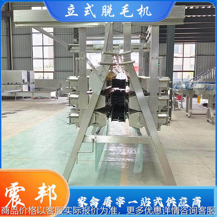 不锈钢家禽屠宰用脱毛机 机械供应 全自动宰鸡流水线设备加工