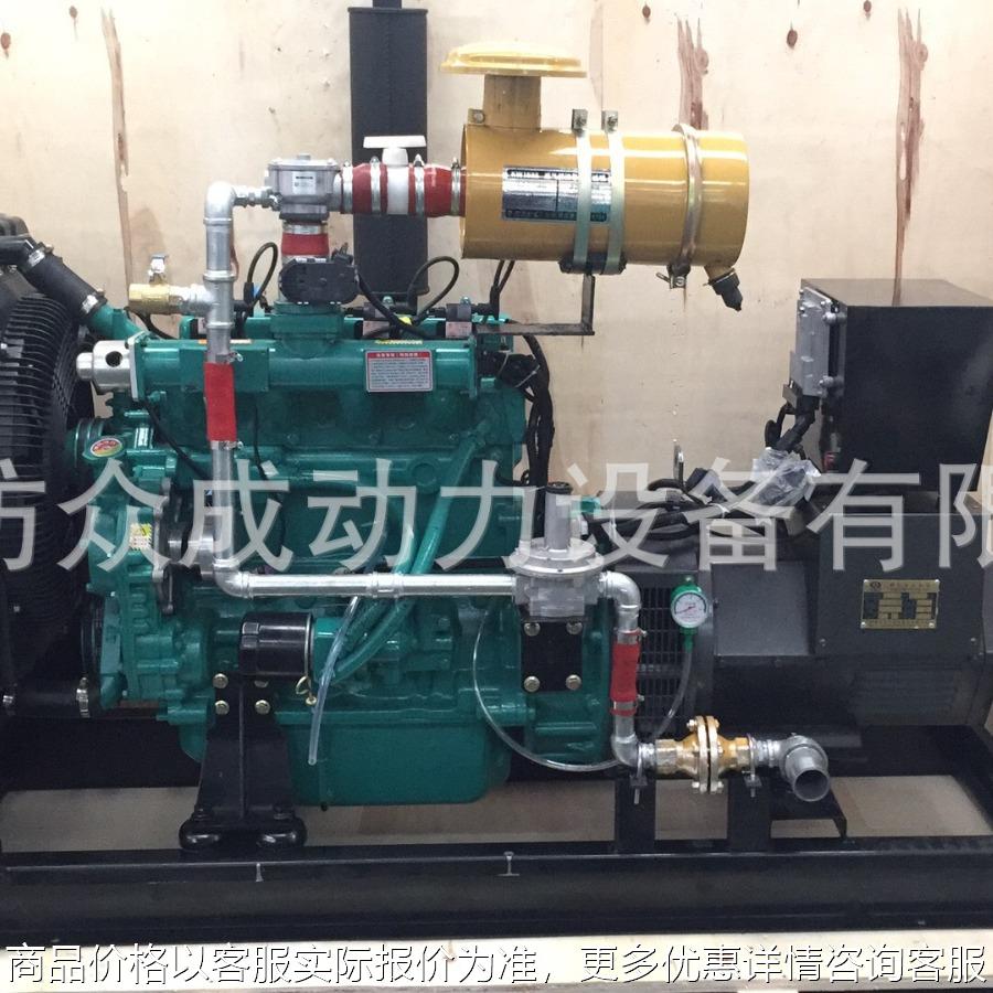 20kw天然气发电机组 20kw农场养殖场用沼气发电机 小型燃气发电机