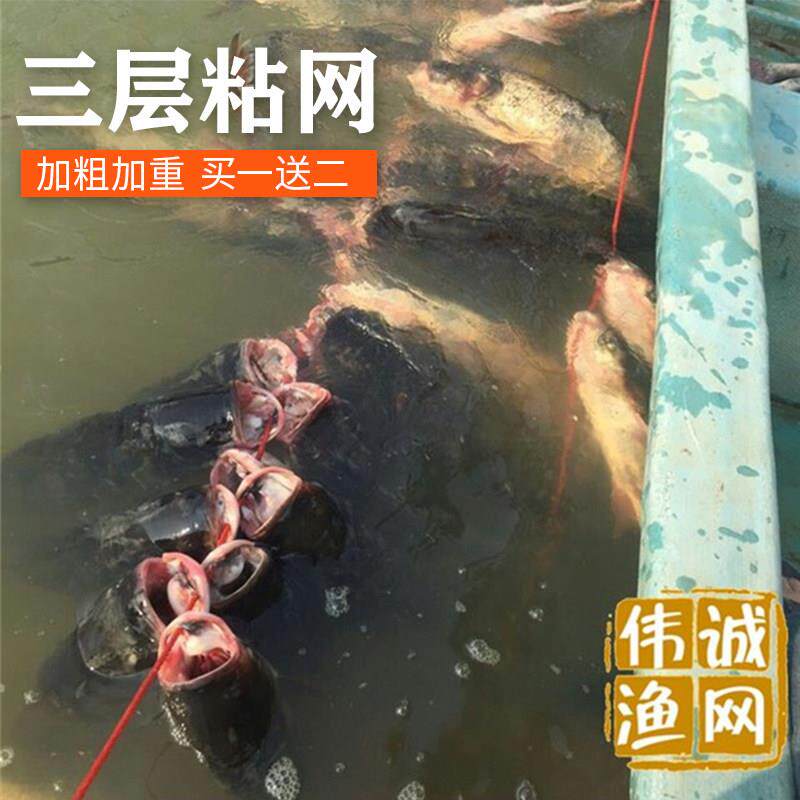 绿丝网粘鱼网加粗100米长沉网鲫鱼网沾网挂网捕鱼网浮网三层渔网