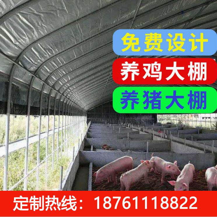 养殖大棚骨架钢管蔬菜种植猪鸡舍牛棚羊圈仓库椭圆管温室大棚全套