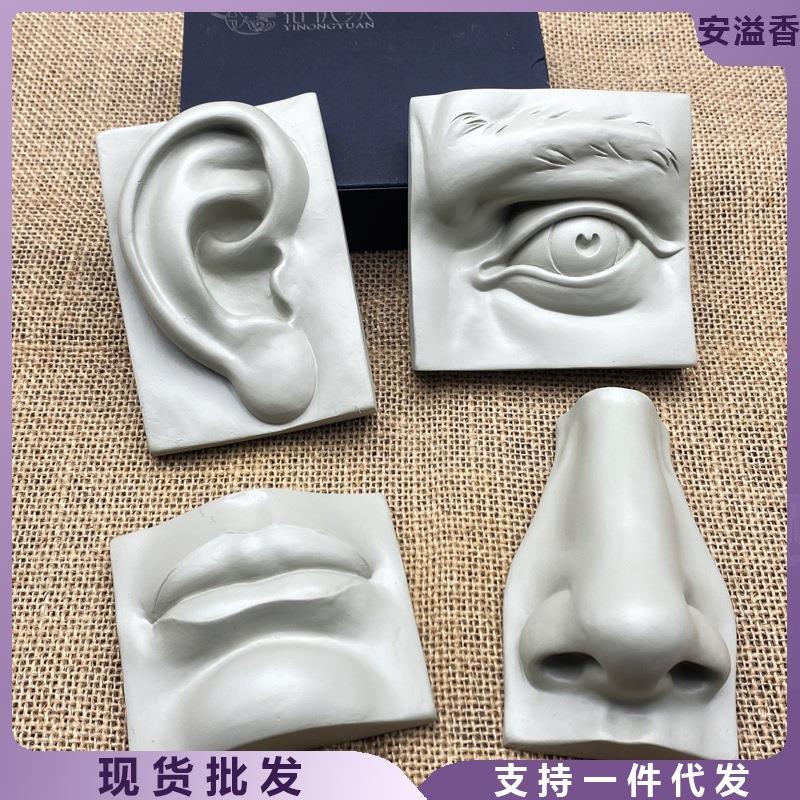 人体五官模型石膏像素描美术教具美术用品树脂头像实面切面画室