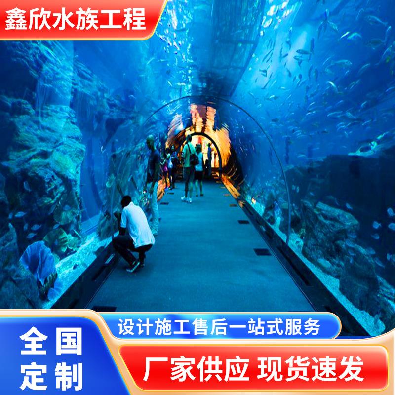 大型亚克力海洋馆海底隧道景观海底工程观赏鱼缸造作设计厂商直供