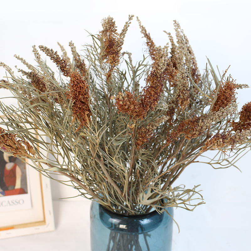 银桦叶干花 干树枝叶复古插花C摆件 枯枝 枯叶装饰软装花材
