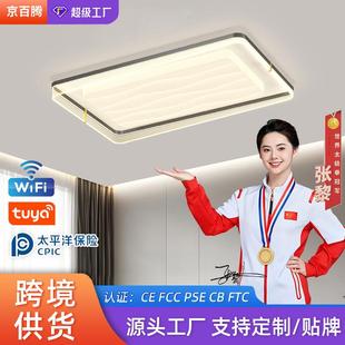 现代简约全光谱LED灯饰照明客厅灯吸顶灯卧室灯全屋灯具套餐组合