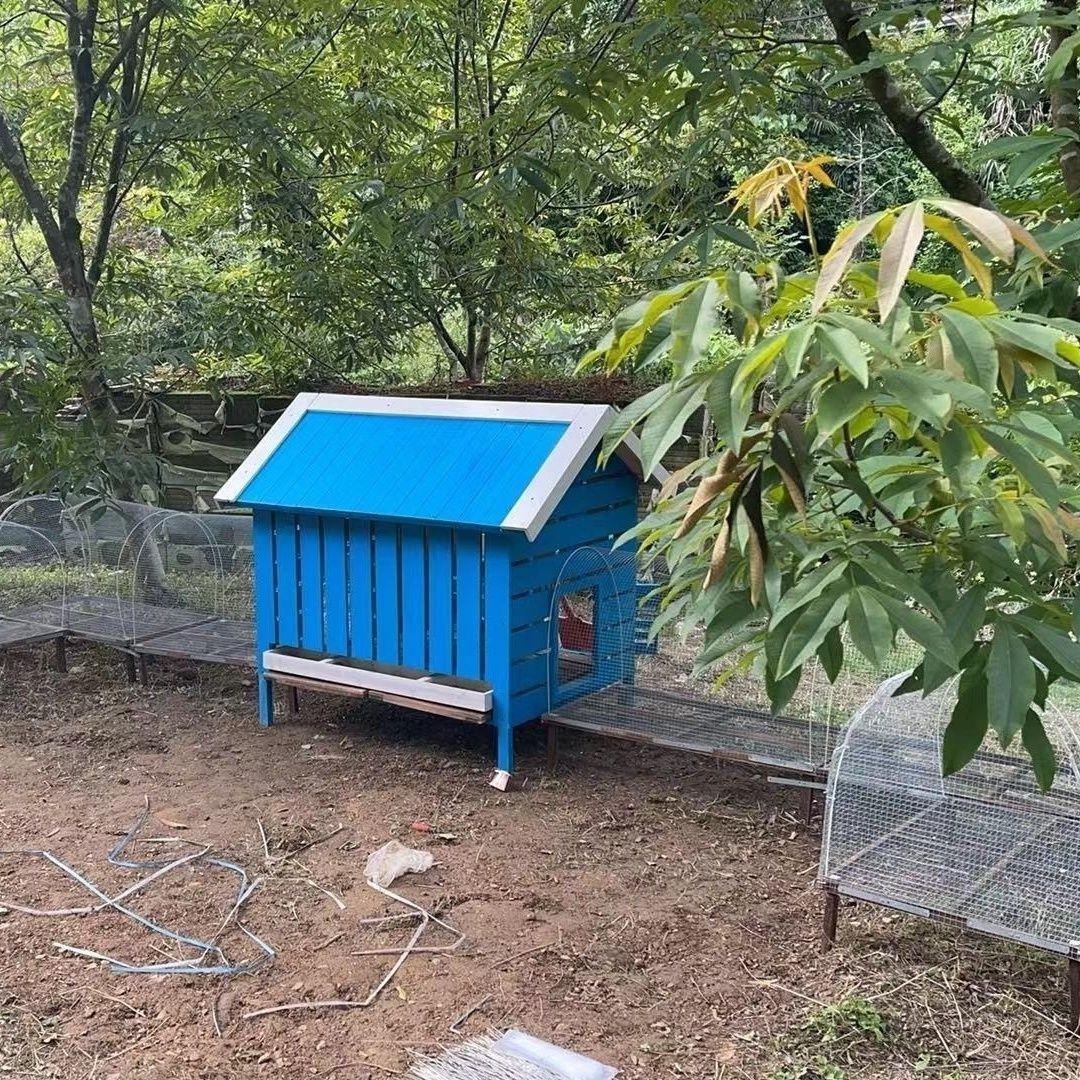 农场养鸡笼养殖笼子铁丝网幼儿园户外鸡舍散养鸡隧道笼走地鸡跑道