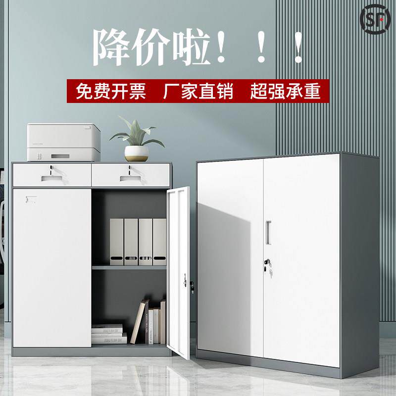 铁皮文件柜档案柜小型对开 矮柜办公室落地柜收纳柜工具柜带锁柜