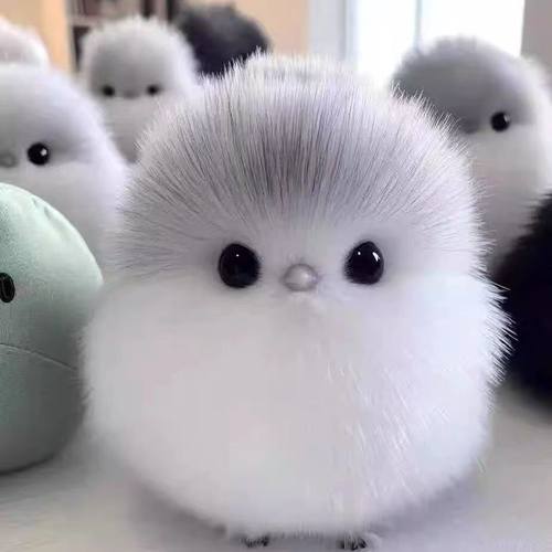 小鸟毛绒玩偶小肥啾玩具生日礼物