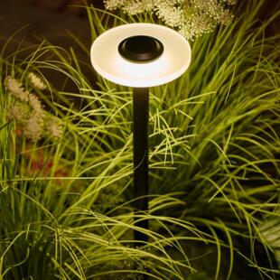 户外蘑菇灯低压草坪灯花园气氛灯庭院造景灯网红景观灯别墅庭院灯