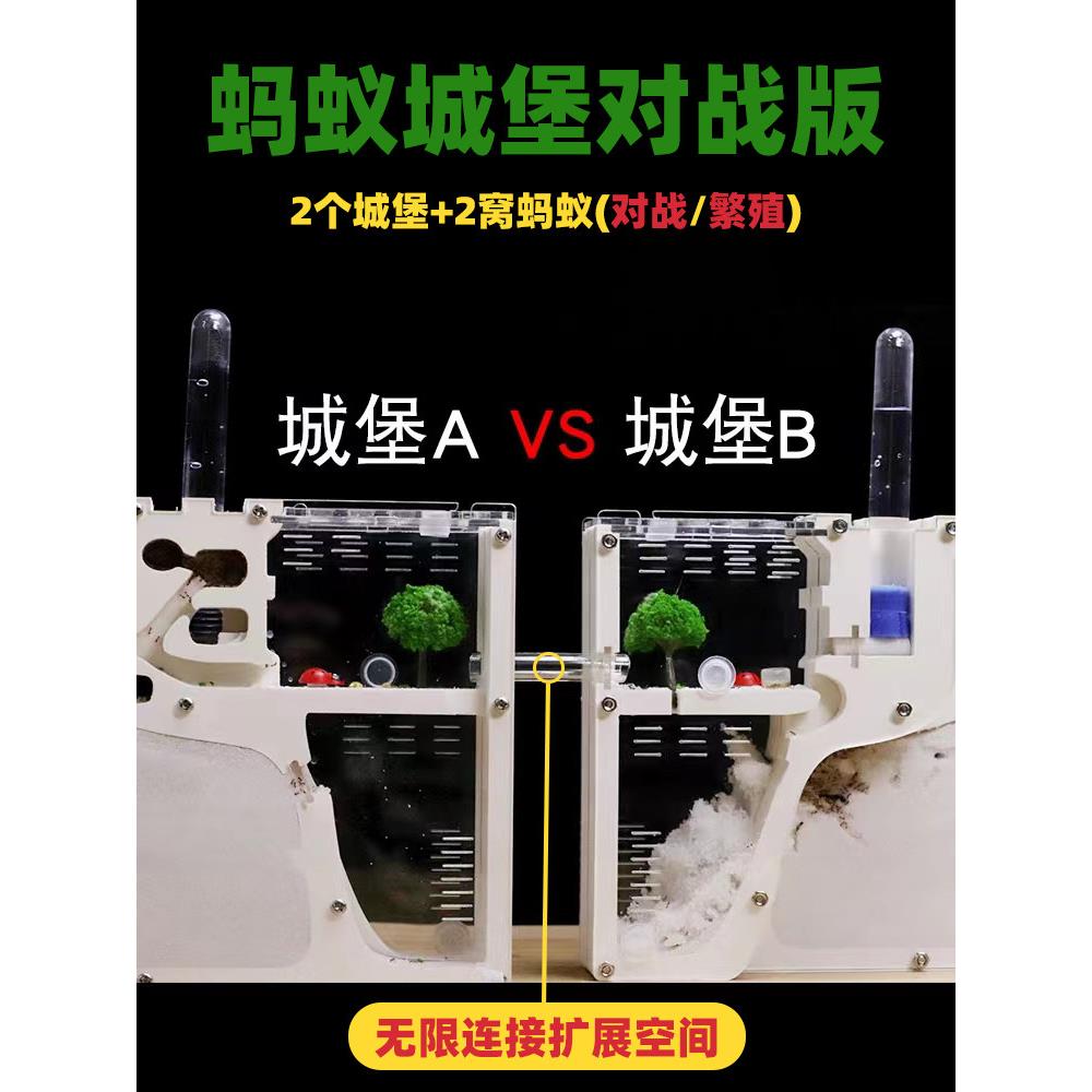 蚂蚁城堡对战版大型生态箱蚂蚁宠物饲养盒工坊巢送蚁后观察屋蚁窝