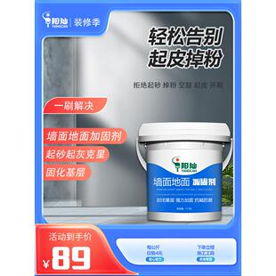 墙内墙抗碱封闭底漆室内室外防潮防霉界面剂墙固加固宝墙面固沙剂