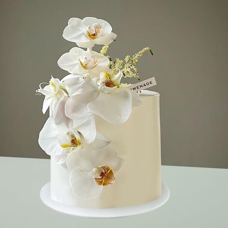 蛋糕模型彷真新款网红花卉蝴蝶兰生日假蛋糕拍照道具样品