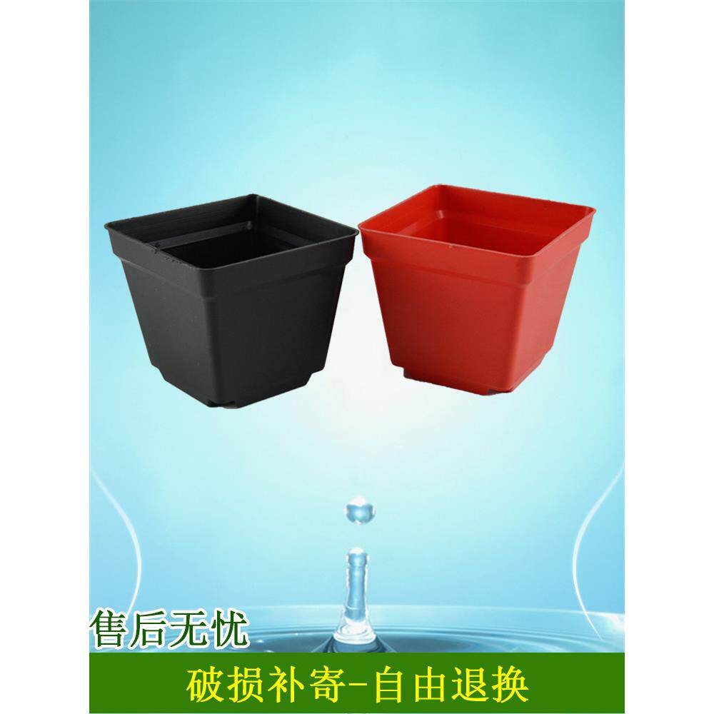 整条蛇带套装小方形营养培育苗圃杯多肉塑料花盆碗园艺种植绿色植