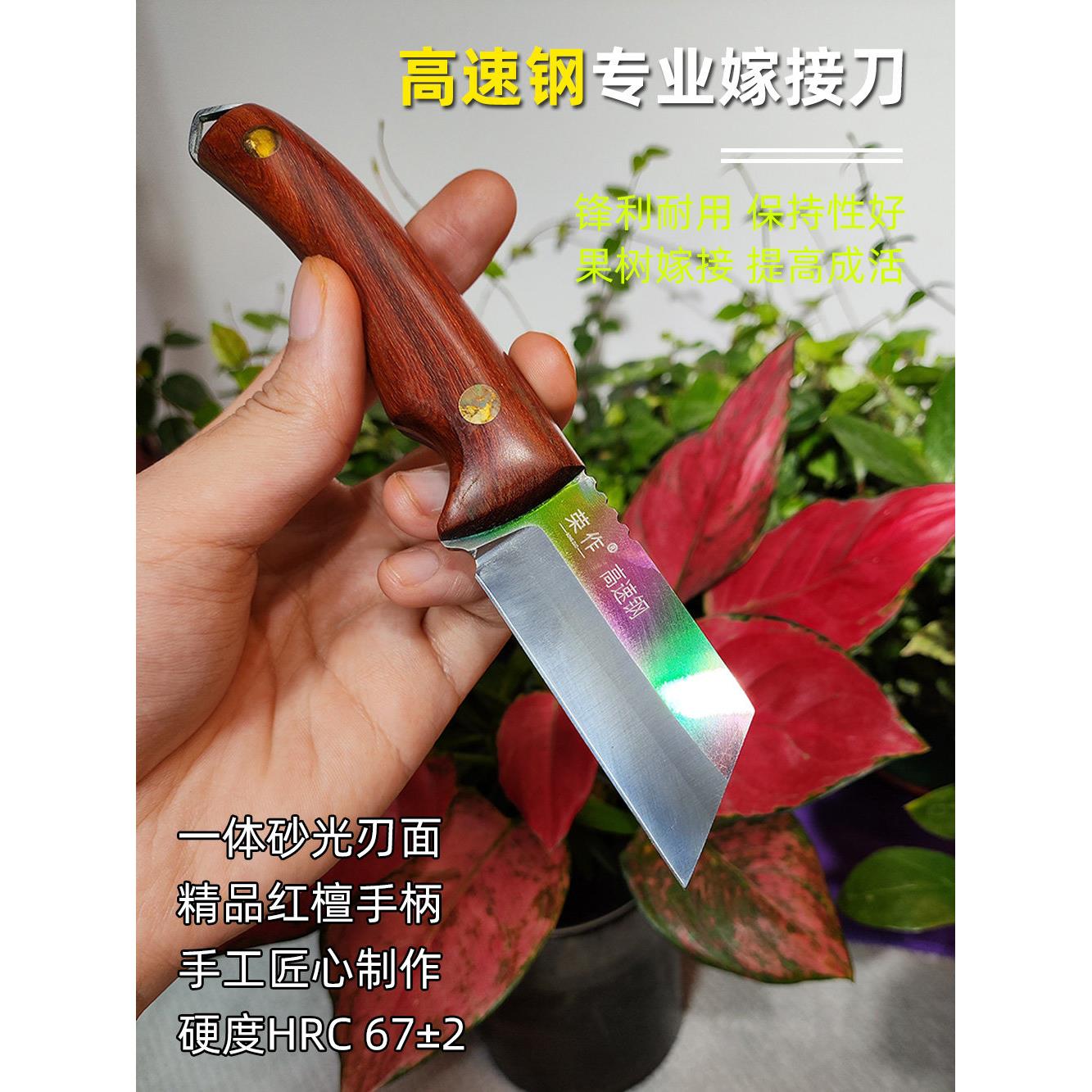 M42高速钢红檀65专业嫁接刀果树苗木专用芽接刀园林园艺嫁接工具