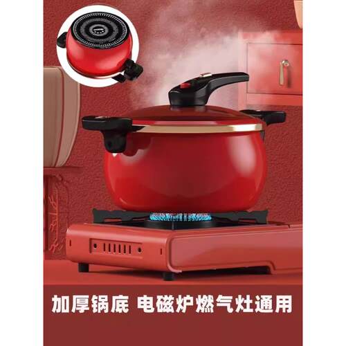 德仕立汤锅家用搪瓷珐琅锅微压锅双耳不粘锅燃气灶电磁炉专用炖锅