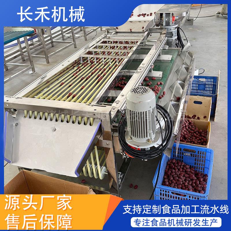 全自动选果机樱桃槟榔大枣筛选机柠檬砂糖橘南果梨分选机