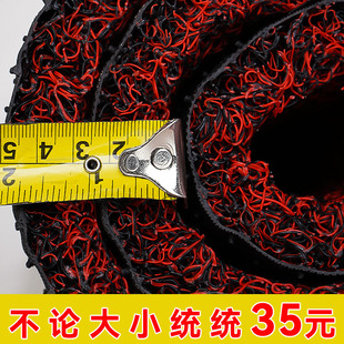 丝圈进门地垫入户门大门口蹭脚A垫子免洗除尘地毯家用防滑进户门