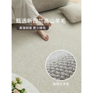 天津崔黄口羊毛地毯2024新款镇平简G约免洗可擦客厅卧室满铺地毯