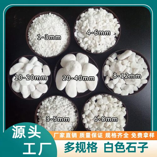 白石子多规格鹅卵石墙面装饰庭院铺路花卉造景园林枯山水用白石子