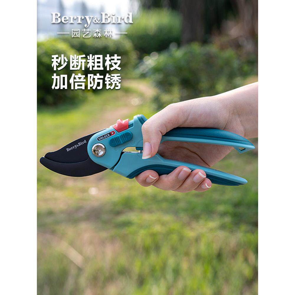 浆果和鸟类园艺修剪剪刀花园果树花枝粗枝盆景造型专用修剪工具