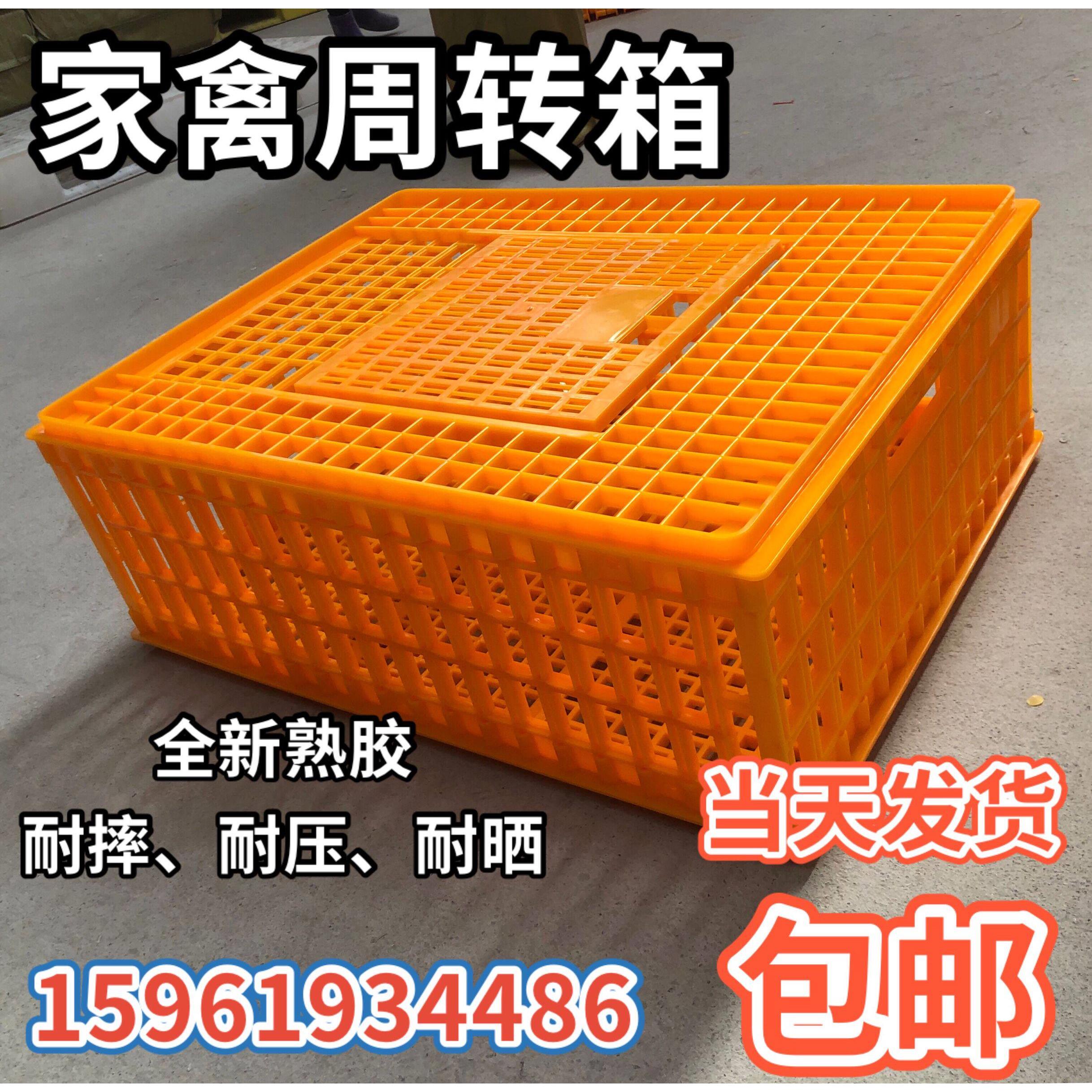家禽周转箱塑料鸡笼鸡鸭鹅周转筐鸡用运输笼鸡筐成鸡箱鸽子笼兔笼