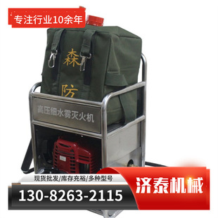 背负式装置移动式喷雾水枪 高压细水雾灭火器 森林消防灭火机