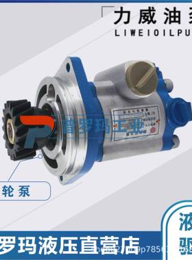 1032300027中联重科ZOOMLION合肥力威液压助力油泵QC25/13-WP-PY