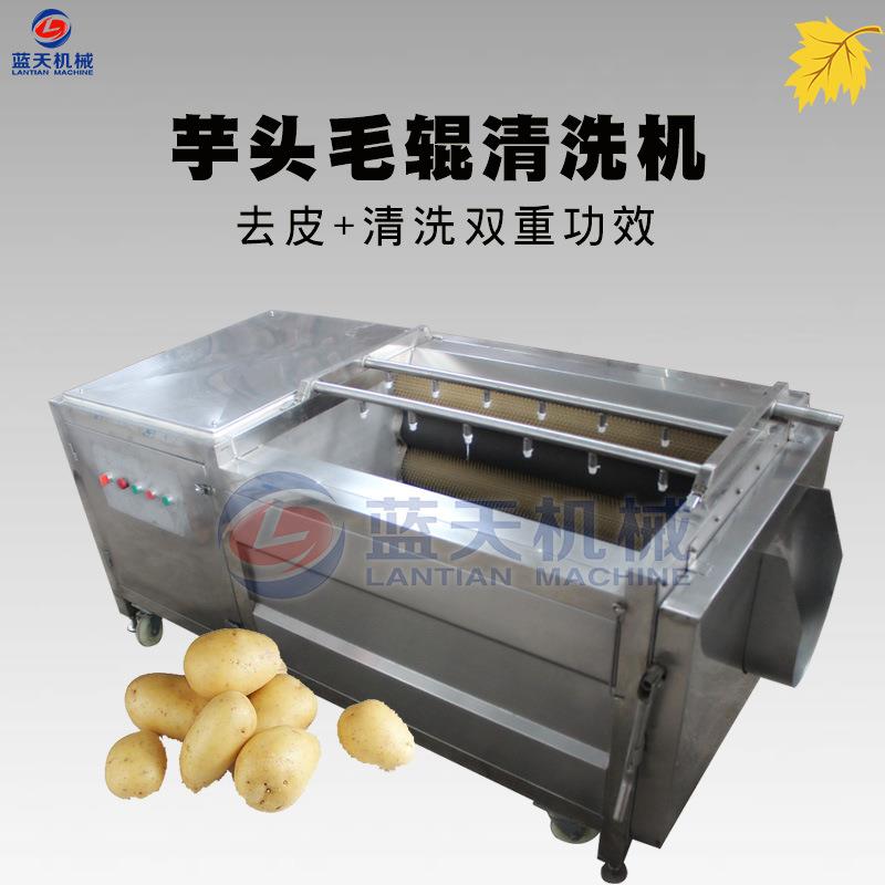 芋头毛辊清洗机大姜毛辊清洗机多功能果蔬菜毛辊去皮清洗机