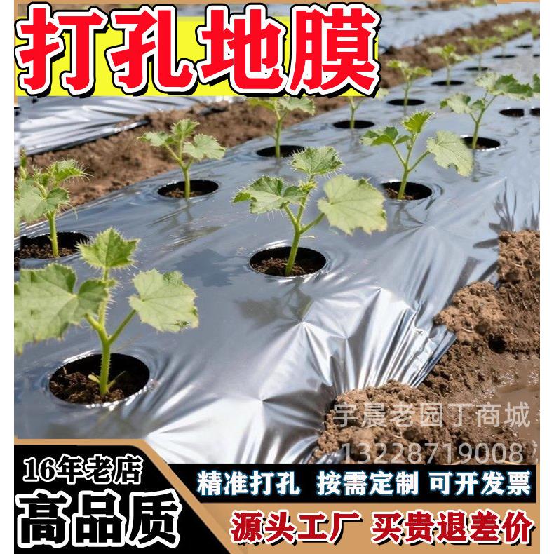 定制打孔地膜带洞眼农用塑料薄膜蔬菜双色银黑地膜防草率