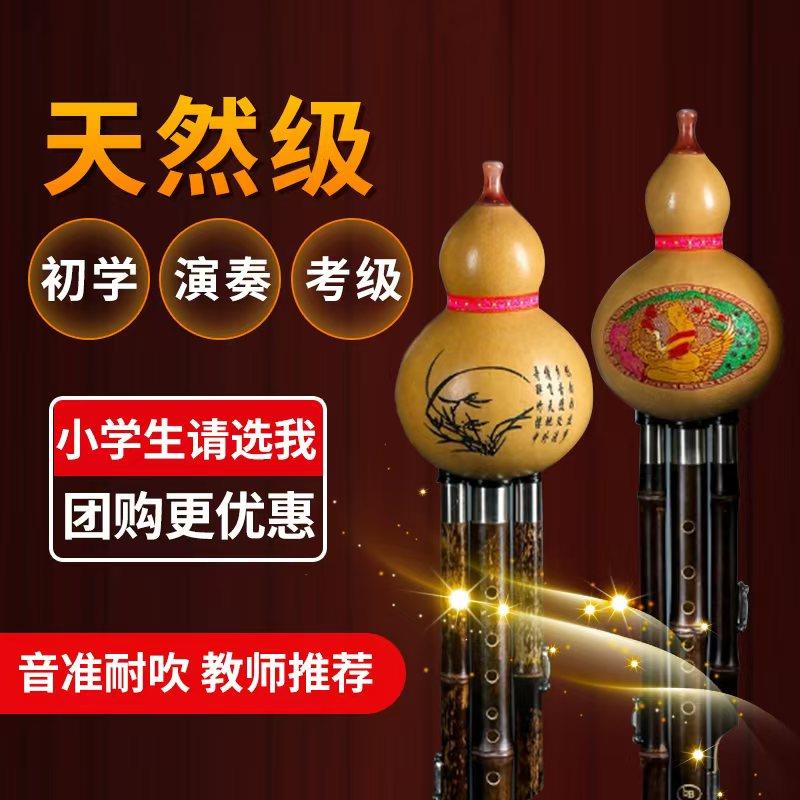 天然七孔三音紫竹金丝楠竹小学生葫芦丝乐器A调降B调C调D调G调F调