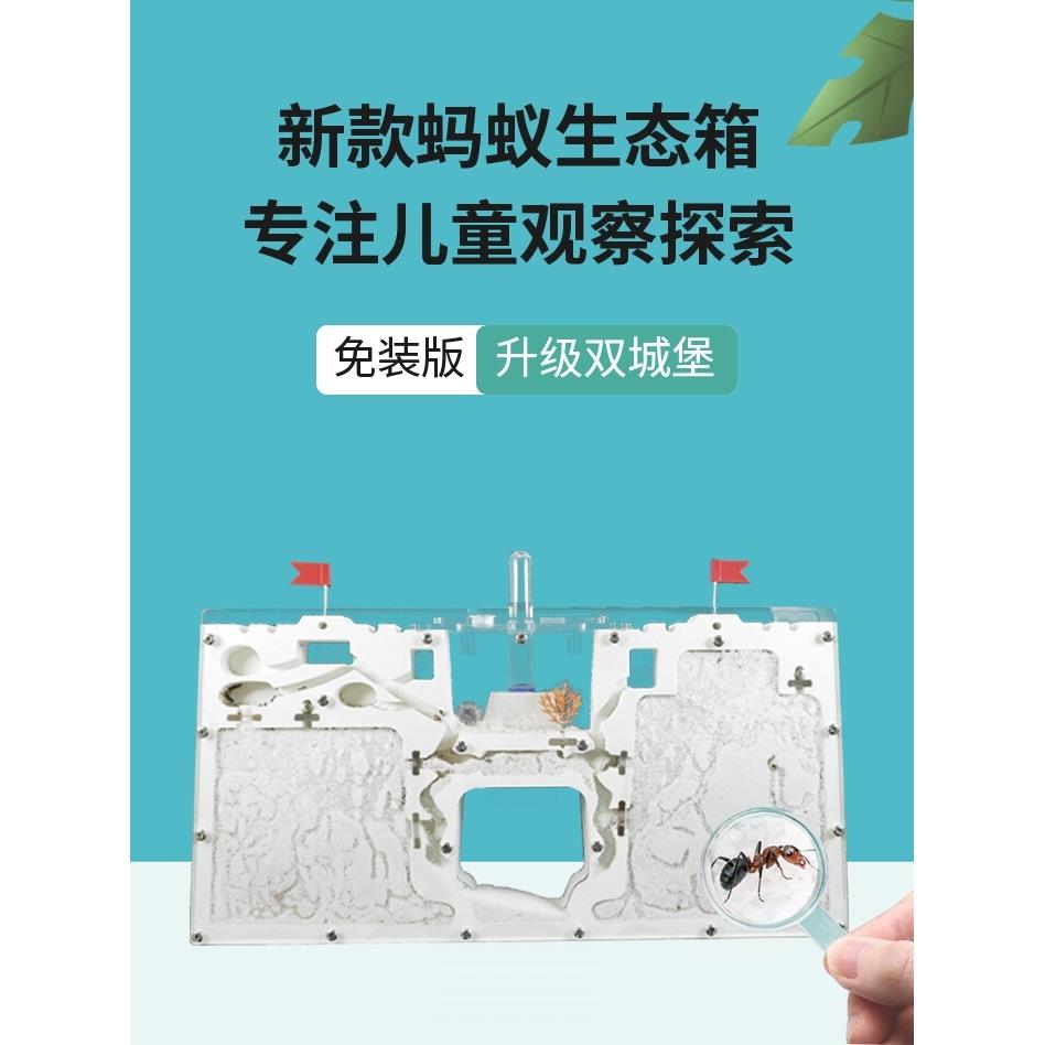 蚂蚁生态箱城堡超大型送蚁后学生观察盒繁殖版的蚁巢窝工坊宠物