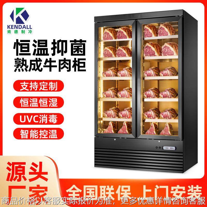牛肉熟成柜商用牛排柜冷藏冷鲜展示柜干湿排酸柜西餐厅恒温柜冷冻