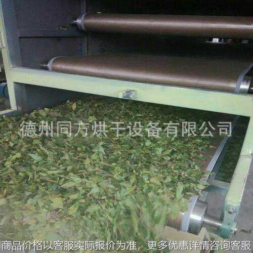 加工三层香叶烘干机 流水线式艾叶干燥机 带式食品香料烘干设备
