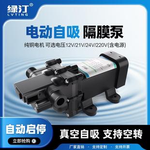 电动直流12v24v抽水泵房车浇菜神器浇水机农田自吸隔膜泵增压专用