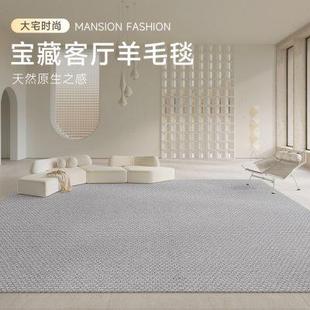 新西兰进口羊毛地毯客厅沙发卧室床边免打理轻奢高级地垫2024新款