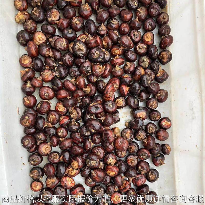 全自动红薯清洗机 毛辊式土豆生姜清洗去泥设备 不锈钢马蹄清洗机,清洗/食品/商业设备,果蔬加工设备,淘宝优惠券,粉丝福利购,淘宝优惠卷