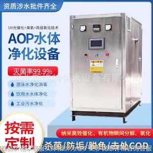 跨境AOP高级氧化净化水处理泳池养殖二次供水光氧化微电解杀菌器
