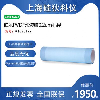伯乐印迹膜Immun-Blot PVDF材质Membrane0.2um孔径转印膜1620177