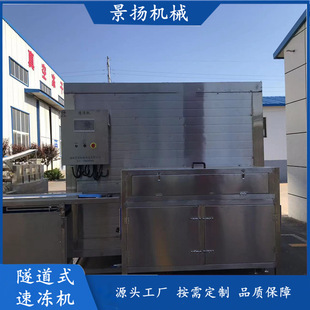 鱿鱼隧道式速冻机 海参鲍鱼快速冷冻设备 水饺包子单体速冻