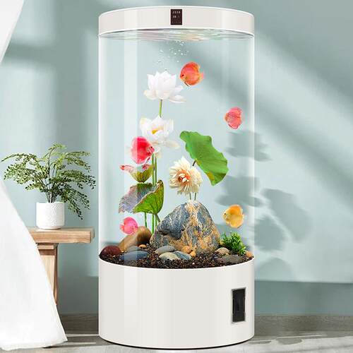 客厅圆柱形鱼缸2025新款中大型全圆玻璃水族箱智能家用落地金鱼缸