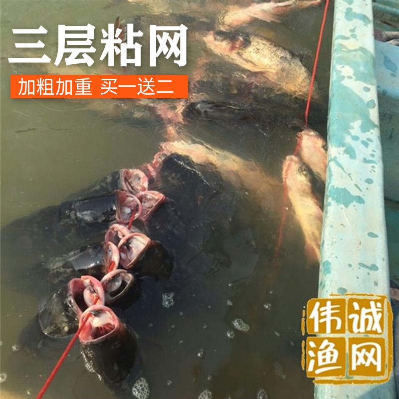 绿丝网粘鱼网加粗100米长沉网鲫鱼网沾网挂网捕鱼网浮网三层渔网