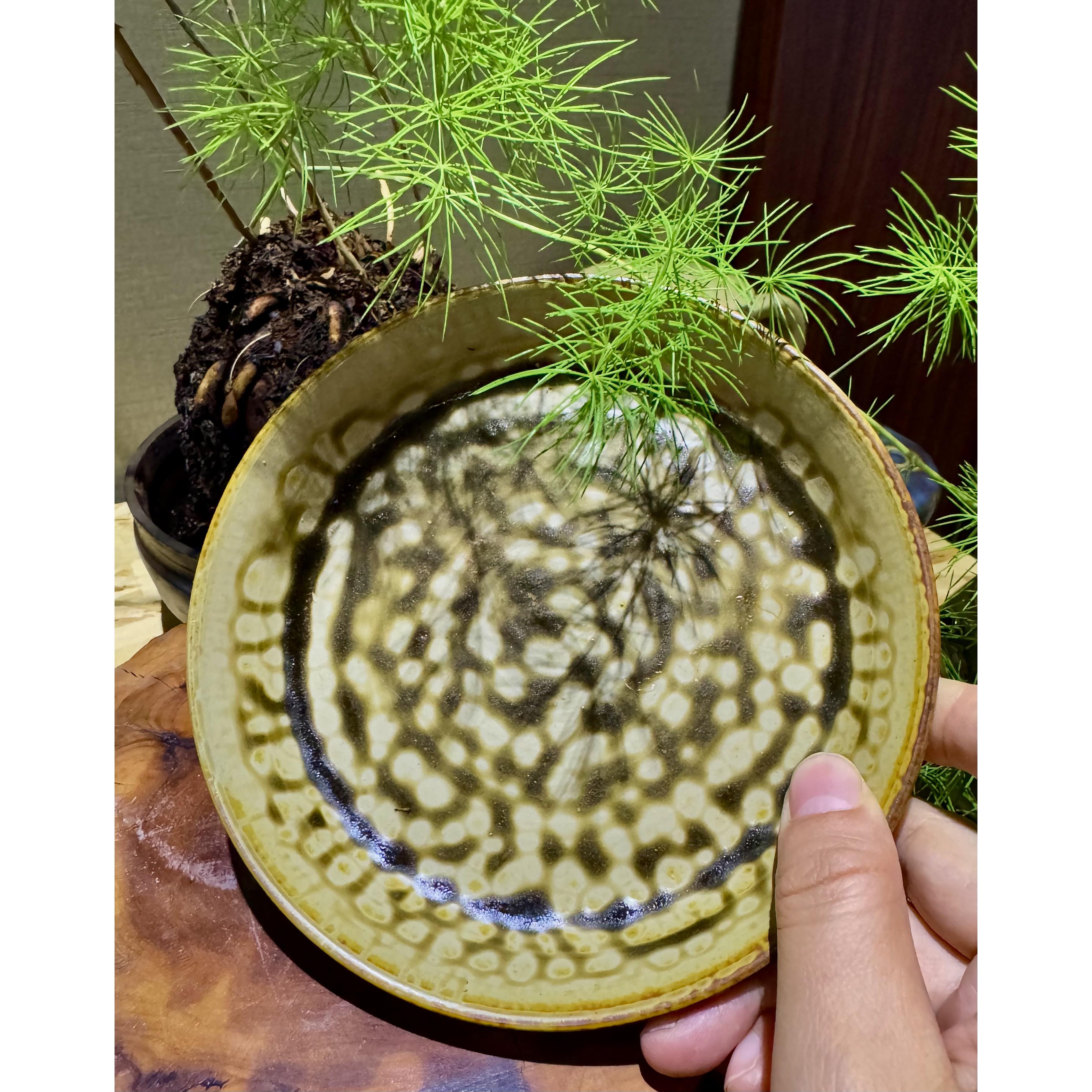 非遗【壶承/茶托】郑州非遗商代原始青瓷小盘子 柴窑裸烧壶承茶托
