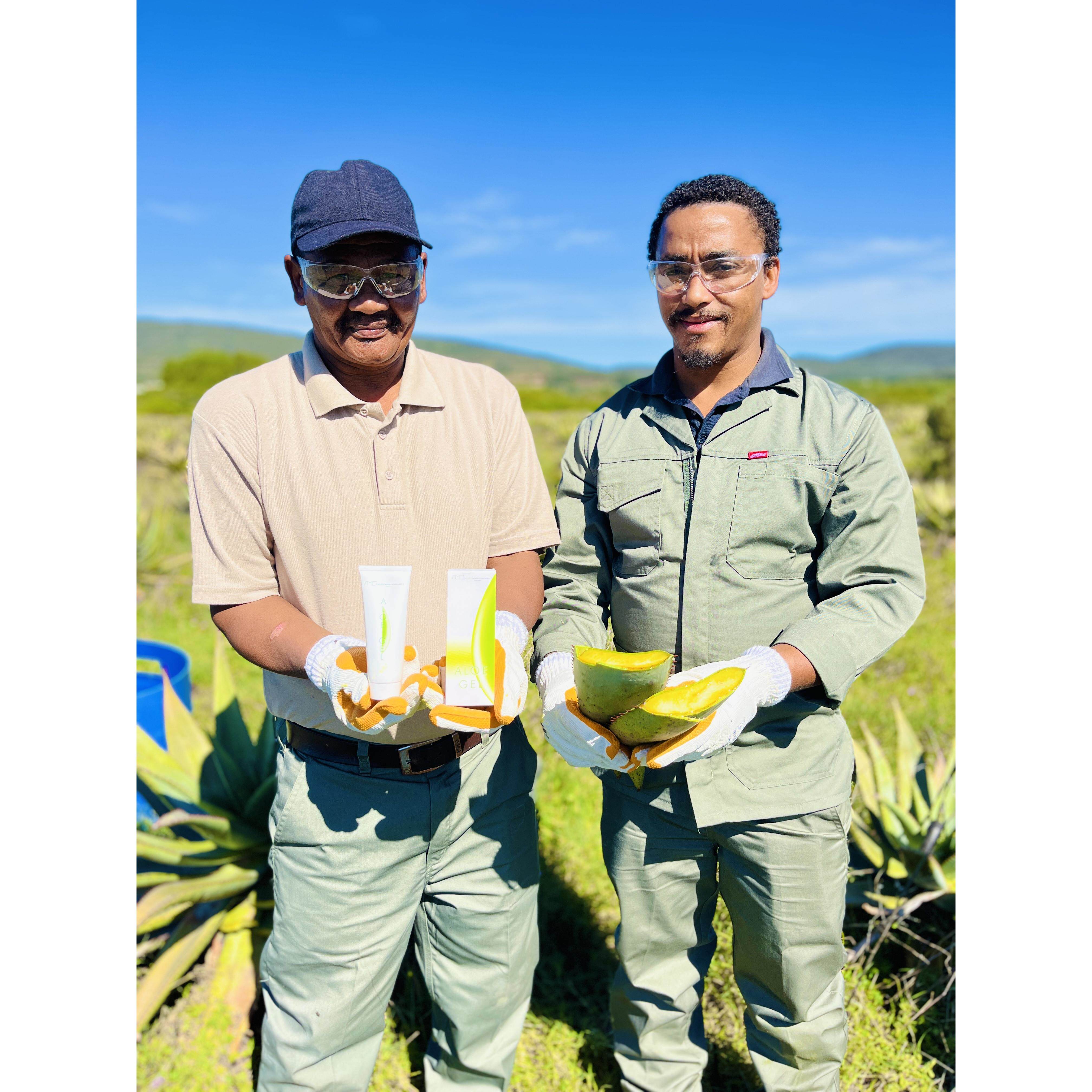 南非AMC芦荟胶膏去闭口痘印Aloe Gel补水保湿过敏晒后修护99%学生