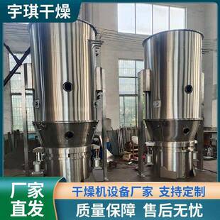 立式沸腾制粒干燥机中药制剂食品冲剂制粒机沸腾造粒机