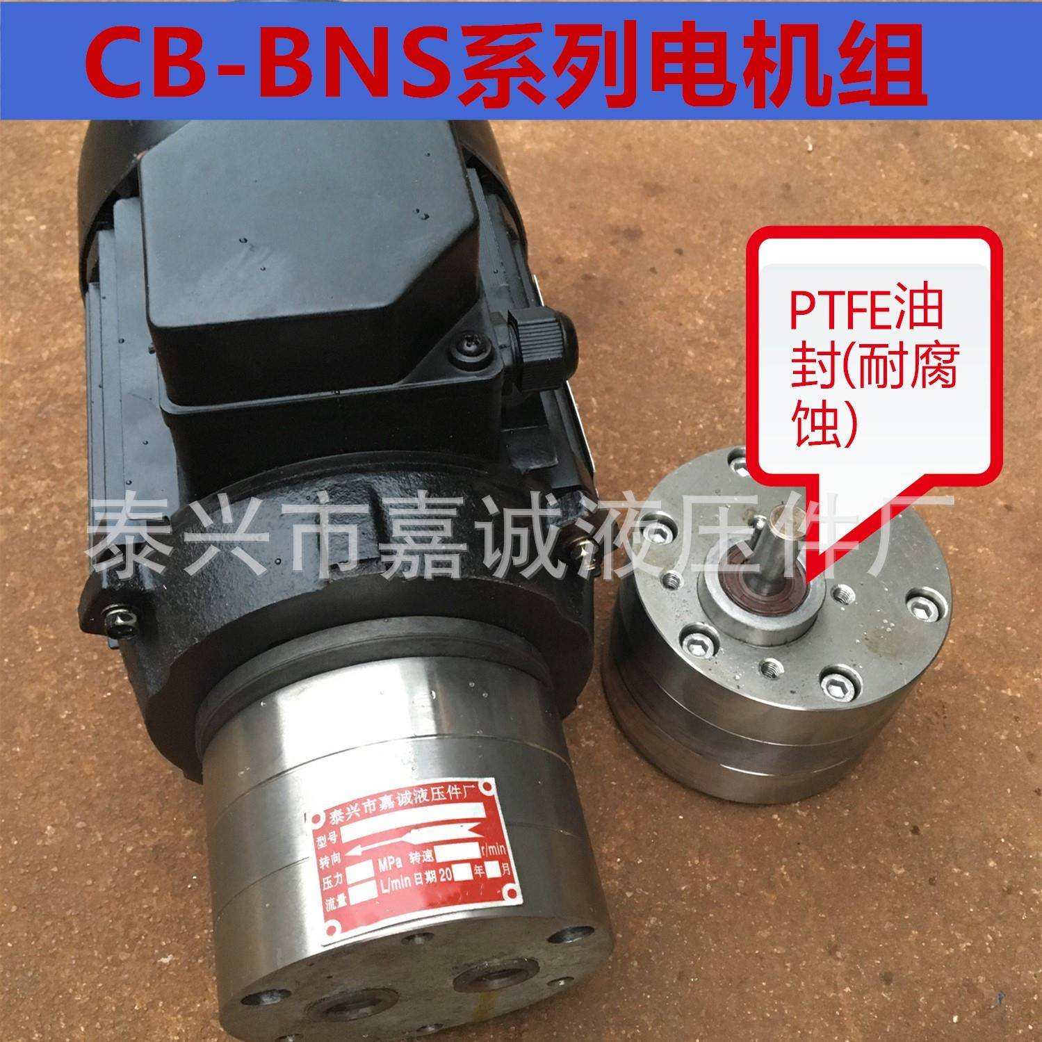 CBA-BCB-BNSCB-BDG系列齿轮油泵不锈钢齿轮油泵电机组