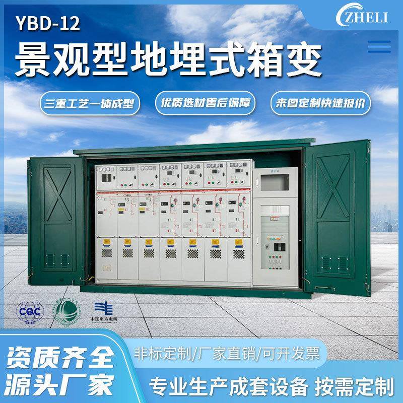 定制厂家加工SS15-1210KV户外充气柜开闭所六氟化硫SF6高压开闭所