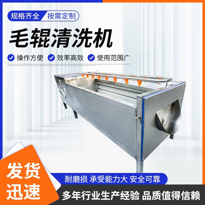 大型花生马蹄毛辊清洗机定制萝卜毛刷去皮机