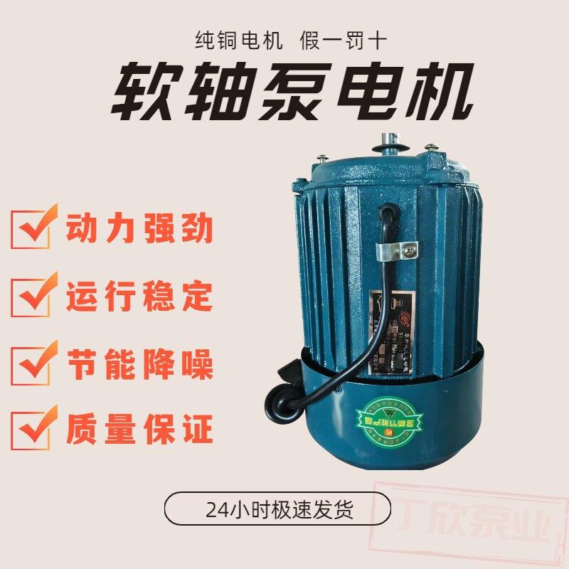 1800W节能型软轴泵专用电机纯铜线蛟龙电机家用深井泵微型