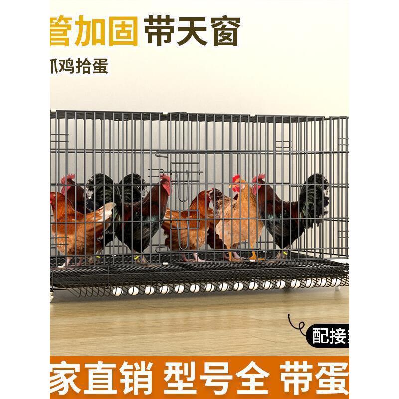 鸡笼子家用养鸡笼大号特大号自动清粪折叠养殖笼鸡舍铁丝网鸭鹅笼
